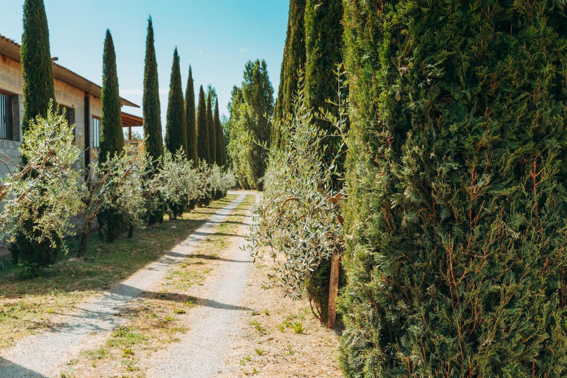 Agriturismo Il Borgo Cortona Exterior photo